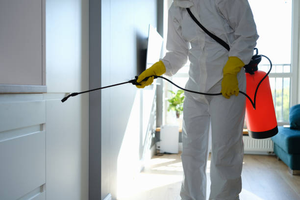 Best Emergency Mold Remediation  in Fairfield, CA